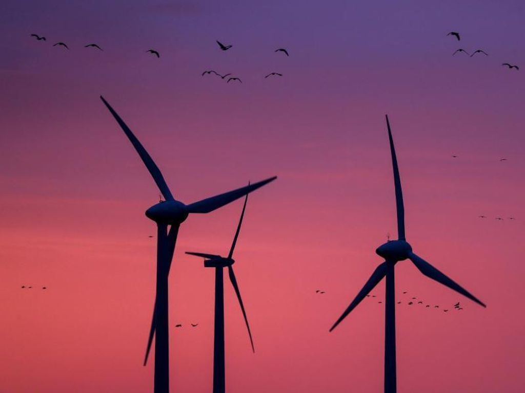 Windkraft hat «zentrale Rolle»: Stockender Windkraft-Ausbau: Ruf nach «Energie-Pakt»
