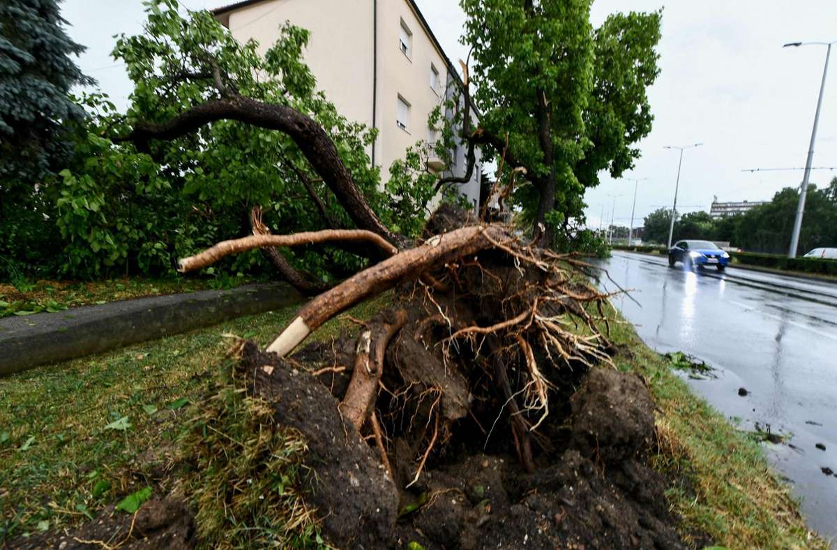 Kroatien: Schwere Unwetter in Zagreb fordern zwei Tote