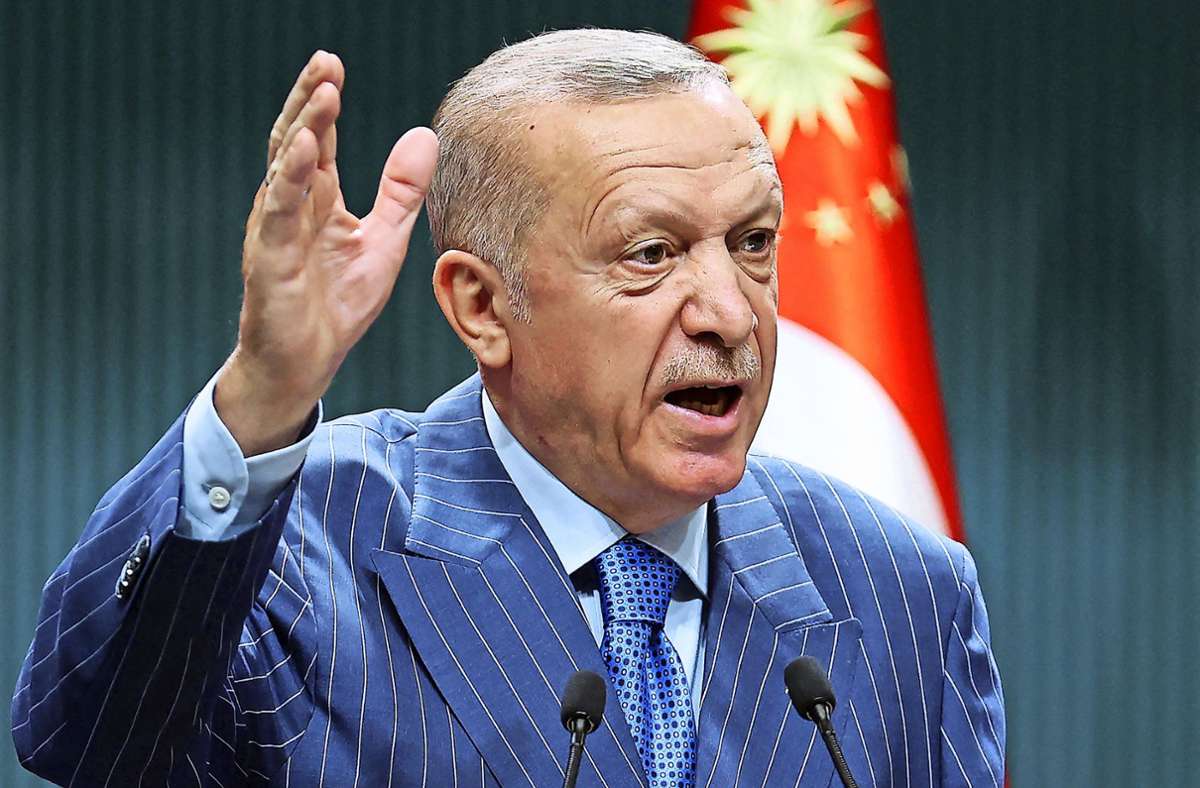 Der türkische Präsident braucht ein Projekt zur innenpolitischen Profilierung. Foto: AFP/ADEM ALTAN