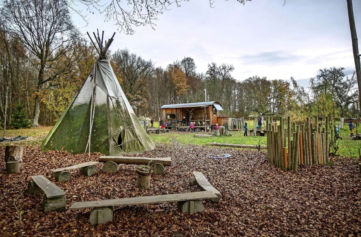 Schulkindbetreuung in Baltmannsweiler: Waldkindergarten will Grundschüler aufnehmen