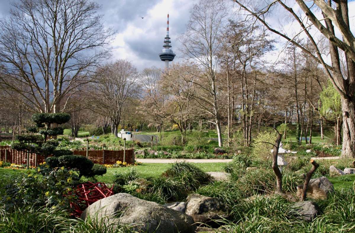 Der Luisenpark in Mannheim gehört zum Bundesgartenschaugelände.