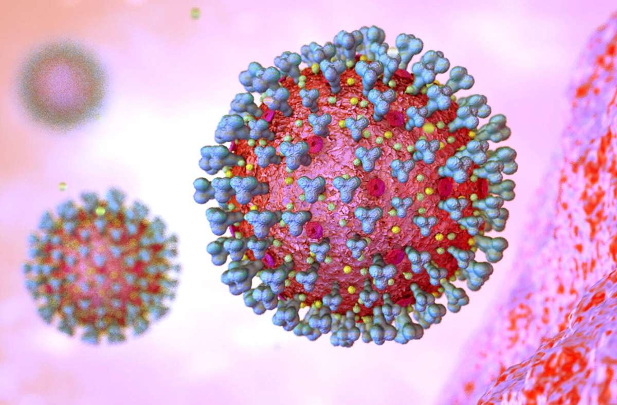 Mutationen des Coronavirus: Evolution im Zeitraffer