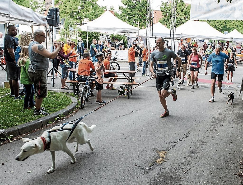 ESSLINGEN: Der Esslinger Hundelauf findet erstmals im Rahmen der Messe Animal in Stuttgart statt: Joggen mit Chihuahua oder Jagdhund
