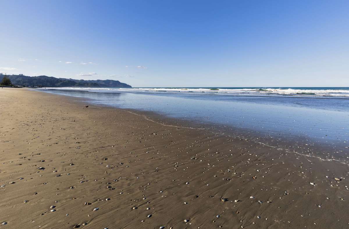Waihi Beach in Neuseeland: Frau bei mutmaßlichem Hai-Angriff getötet