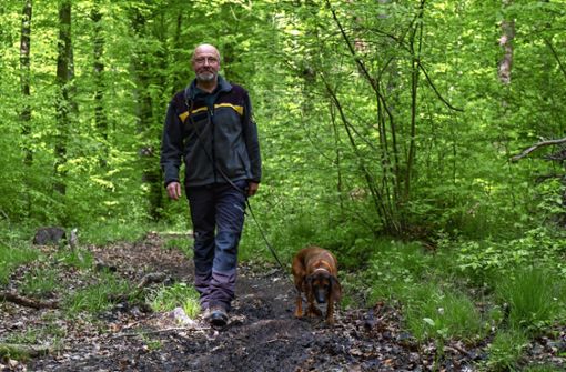 Förster Markus König  wacht zusammen mit Hündin Kena im Wald bei Ohmden  über den Schwarzwildbestand. Foto: Dominic Berner