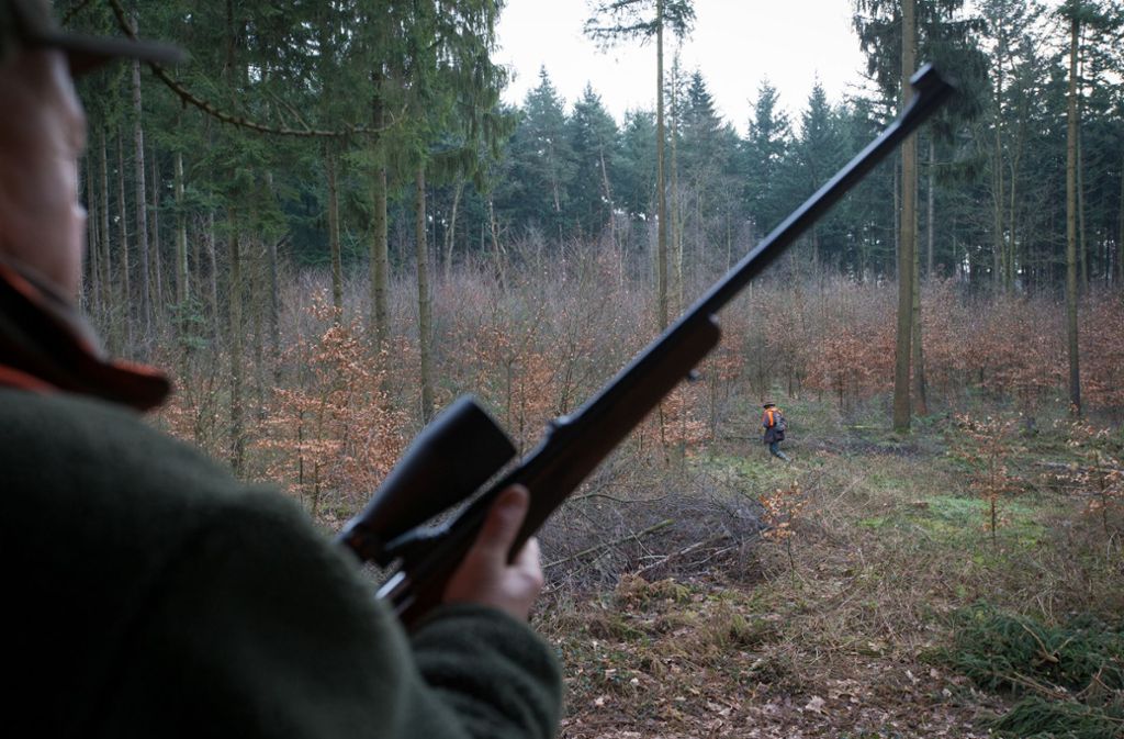 In Niedersachsen: Jäger wird bei der Jagd tödlich getroffen