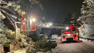 Baum stürzt auf Stromleitung – Feuerwehreinsätze  wegen Schneefalls