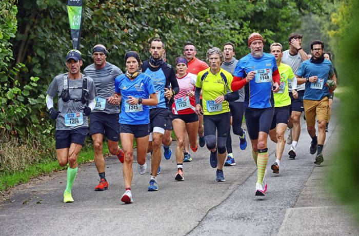 Bottwartal-Marathon in Steinheim: Die Macher sind bisher  zufrieden