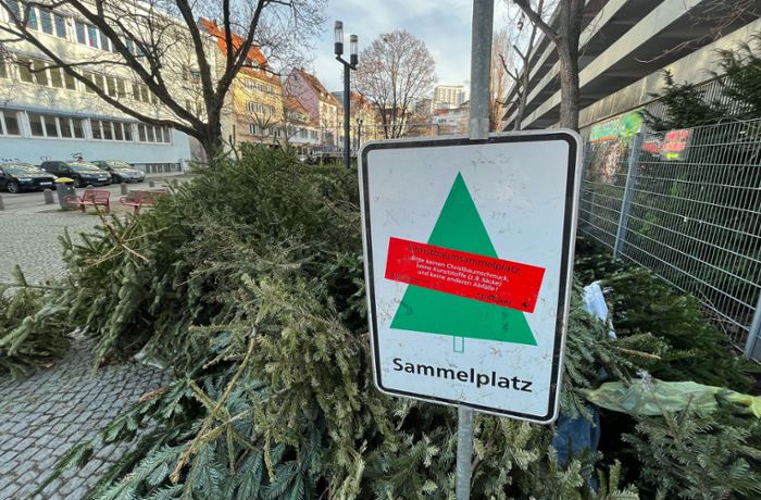 Sammelstellen in Stuttgart: Noch liegen Weihnachtsbäume in den Stadtteilen rum
