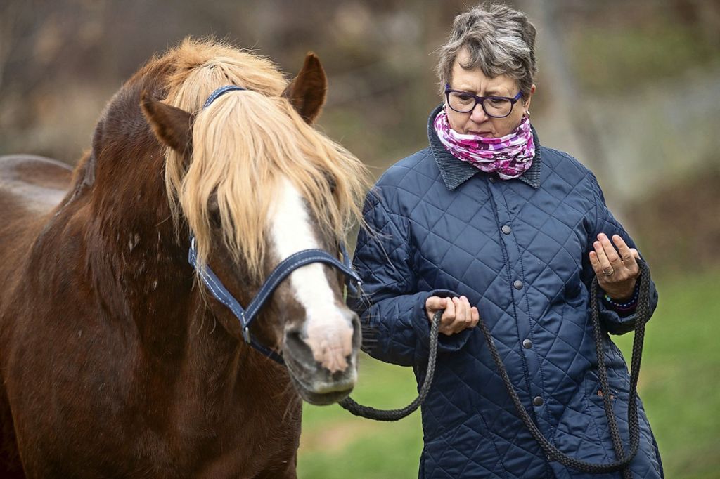Im Umgang mit Pferden können Menschen einiges über sich und ihre Ausstrahlung lernen: Wie wirke ich auf andere?