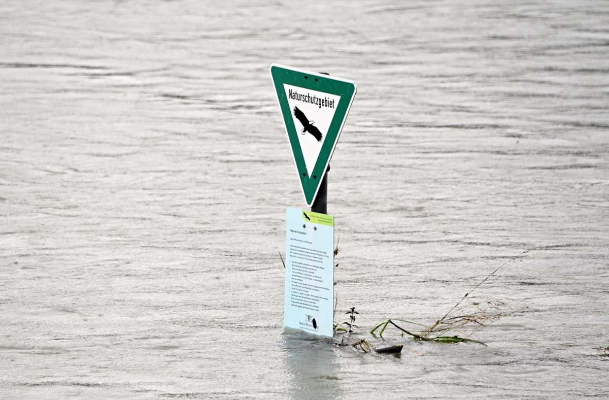 Unwetter in Baden-Württemberg: Regenfälle lassen Rhein weiter anschwellen