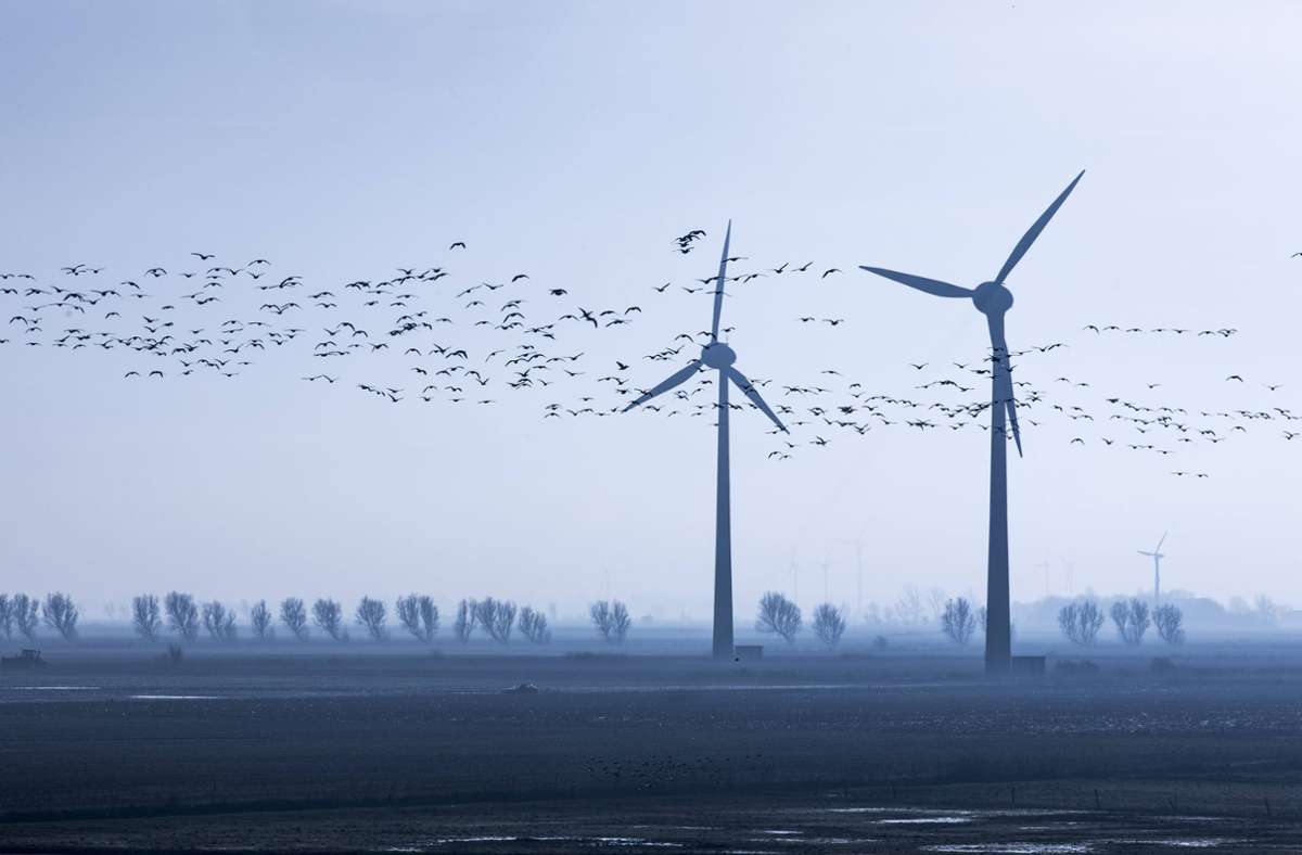 Steffi Lemke und Robert Habeck: Grünen-Minister einigen sich auf schnelleren Windkraft-Ausbau