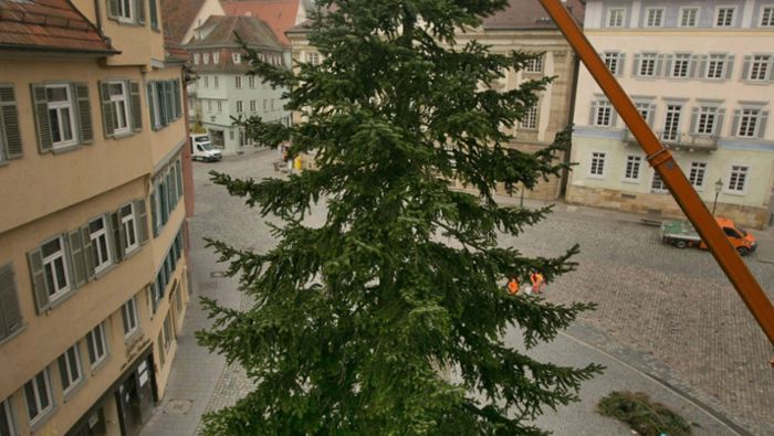 Der Esslinger Weihnachtsbaum steht