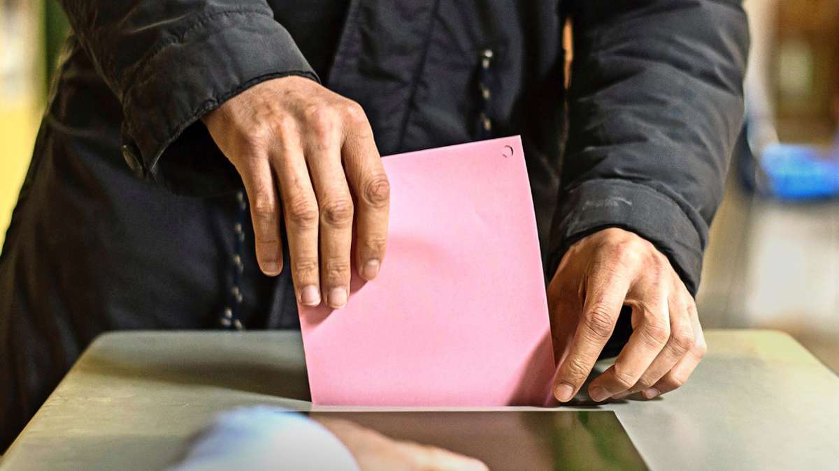 Kommunalwahlen im Kreis Ludwigsburg: Keine AfD in Marbach und Steinheim
