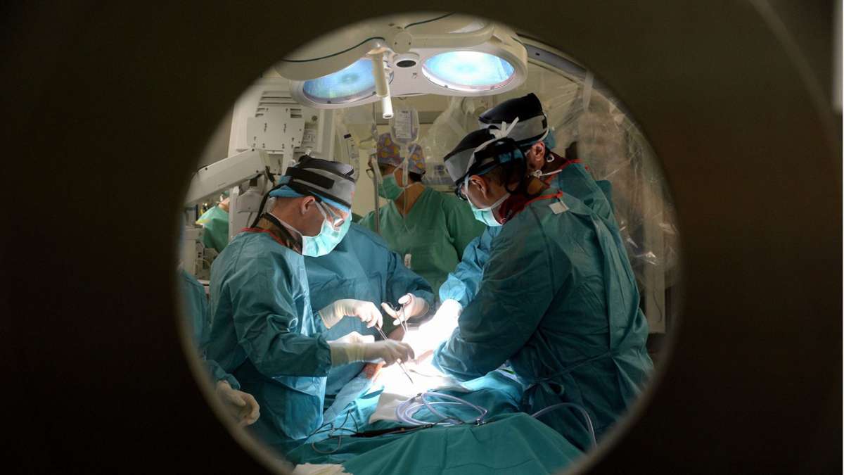 Medizinische Ehre für die Aorta: Hauptschlagader als eigenständiges Organ eingestuft