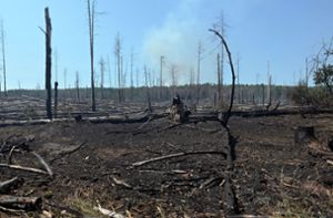 Verbrannter Wald bei Jüterbog. Der Waldbrand in dem ehemaligen Truppenübungsgebiet dort ist immer noch nicht gelöscht. Foto: Michael Bahlo/dpa/Michael Bahlo