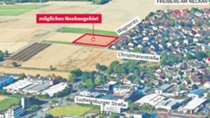 Umweltschützer kritisieren geplantes Baugebiet  in Freiberg