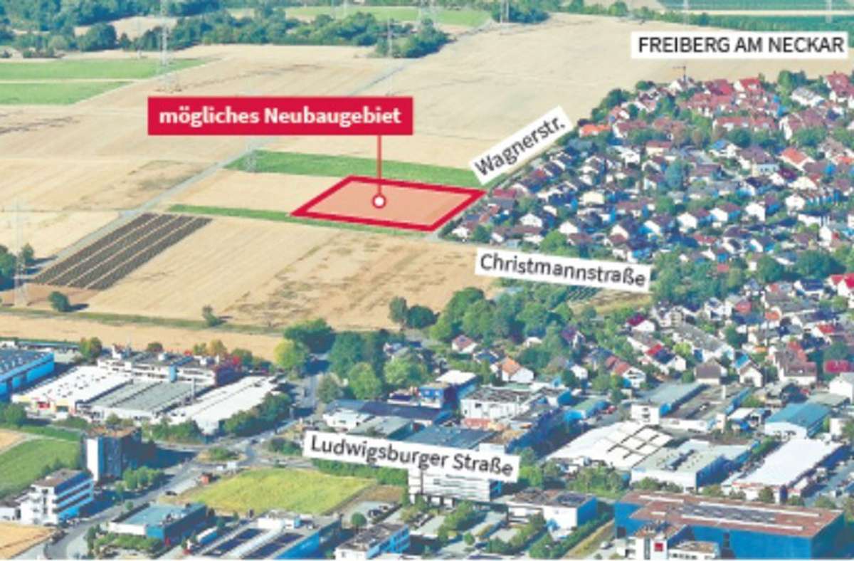 Wohnungen im Eilverfahren: Umweltschützer kritisieren geplantes Baugebiet  in Freiberg