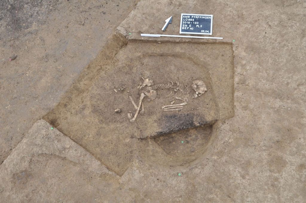 Über 7000 Jahre altes Grab freigelegt: Forscher entdecken uralte Grabenanlage