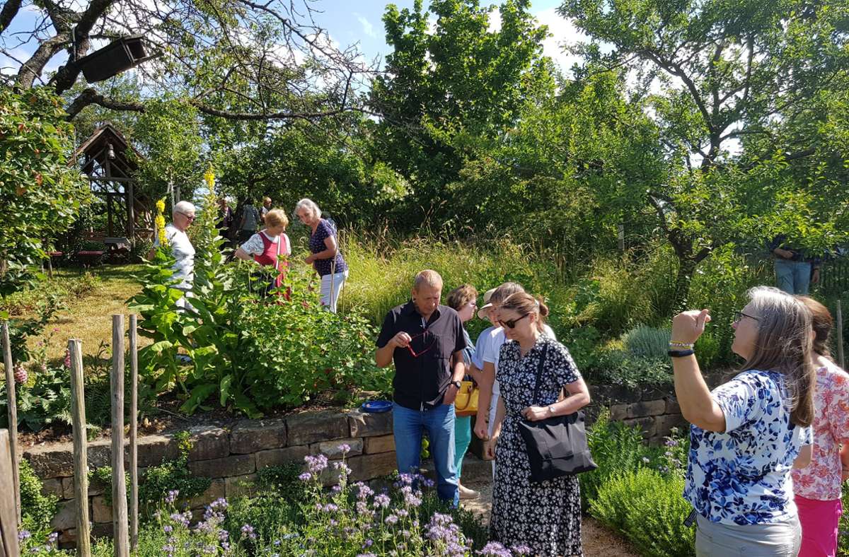 „Offene Gärten“ in Esslingen und der Region: 24 blühende Oasen öffnen für zahlreiche Besucher