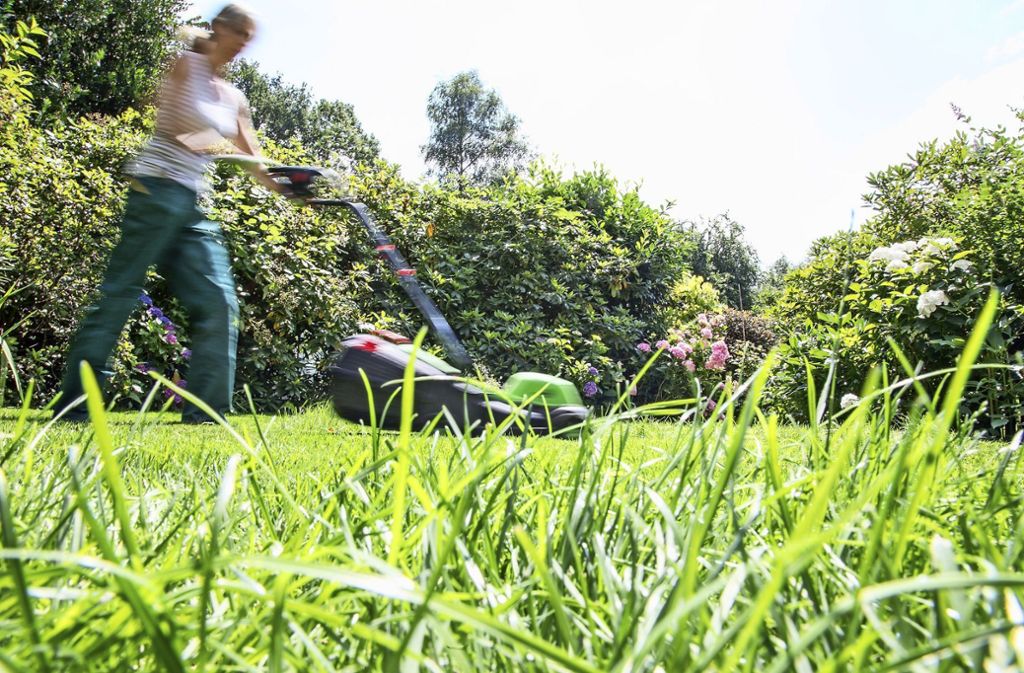 Tipps zur Bewässerung des Rasens – Sonneneinstrahlung und Trockenheit machen dem Grün zu schaffen: Vom Greenkeeper empfohlen