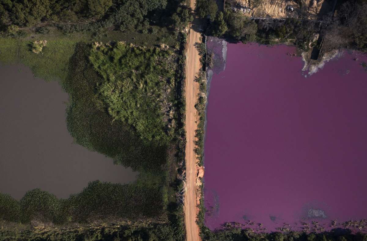 Umweltverschmutzung: Abwässer färben halbe Lagune lila