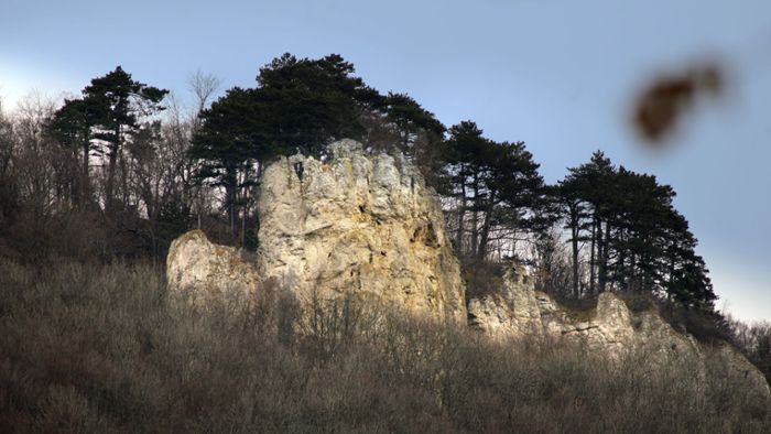Artenschutzmaßnahme: „Gelber Fels“ im Kreis Esslingen für Kletterer gesperrt