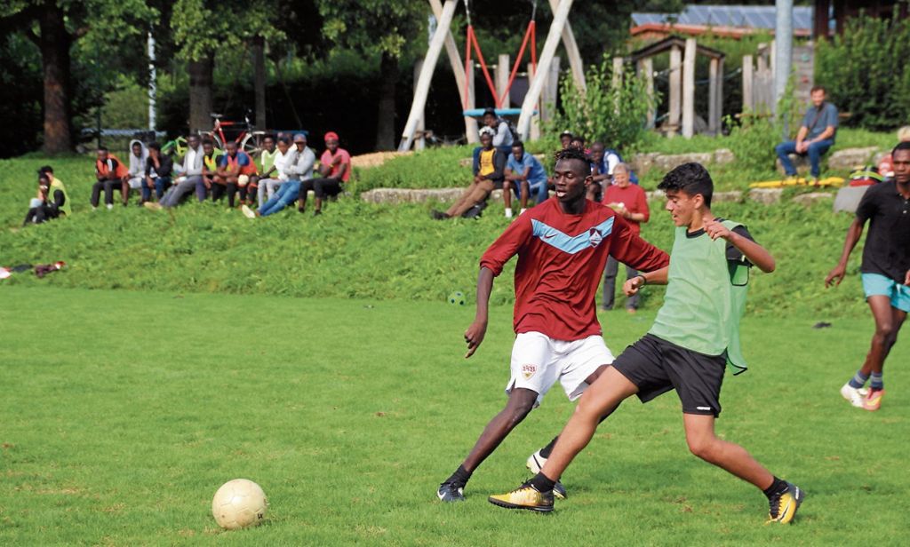 Internationales Fußballfest in Hochdorf: „Der Spaß am Spiel steht im Vordergrund“