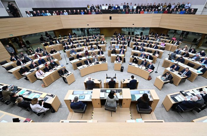 Kritik am Wahlrecht: Die FDP hat in der Sache recht