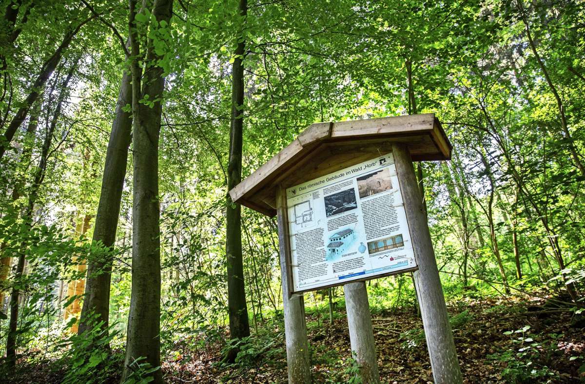 Rätselhaftes Gebäude in Neuhausen: Der Horber Wald birgt ein Geheimnis