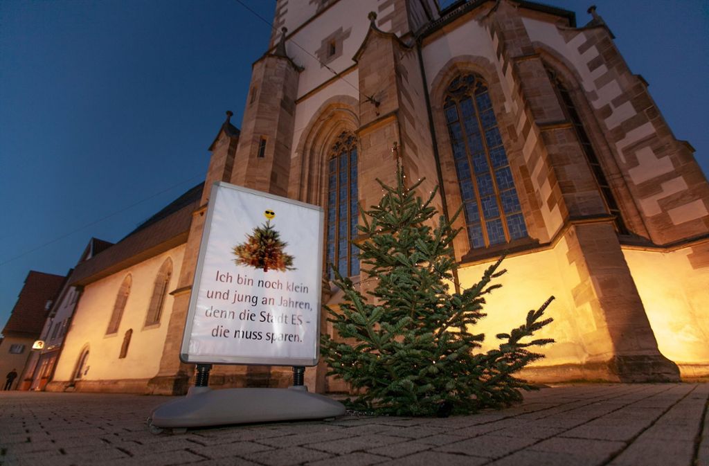 Wo in den vergangenen Jahren noch eine große Tanne stand, hält jetzt ein Mini-Baum, aufgestellt von zwei Mitgliedern der Mettinger Kirchengemeinde, die Stellung.