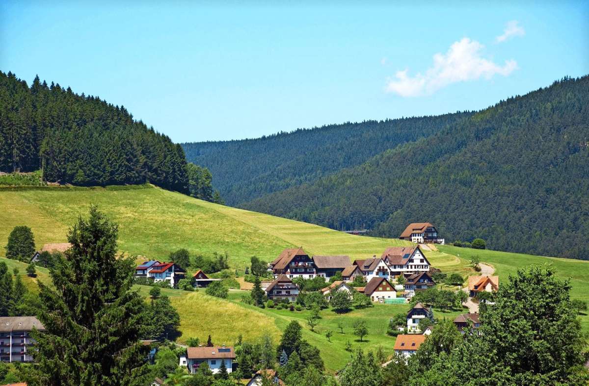 Wohnen im Schwarzwald statt in der Region Stuttgart: Arne Wintermeier aus Ludwigsburg  hat sich dafür  entschieden.