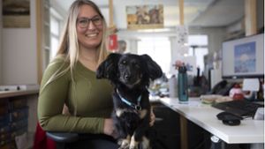 Bürohunde: Büroalltag mit Kollegen auf vier Pfoten