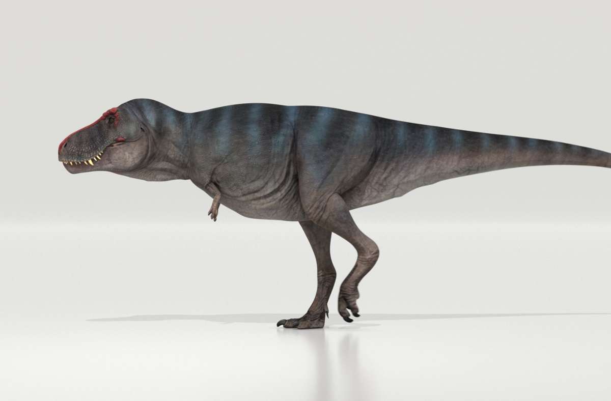 Das Bild zeigt eine Rekonstruktion des Tyrannosaurus Rex.