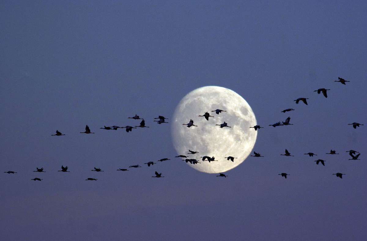 Mond und Sterne im Oktober: Was am Nachthimmel zu beobachten ist