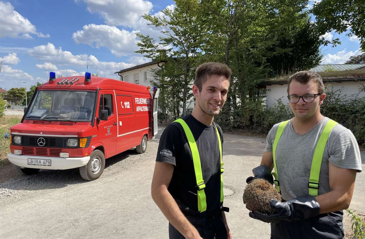 Tierischer Einsatz in Affalterbach: Feuerwehr rettet Igel aus misslicher Lage