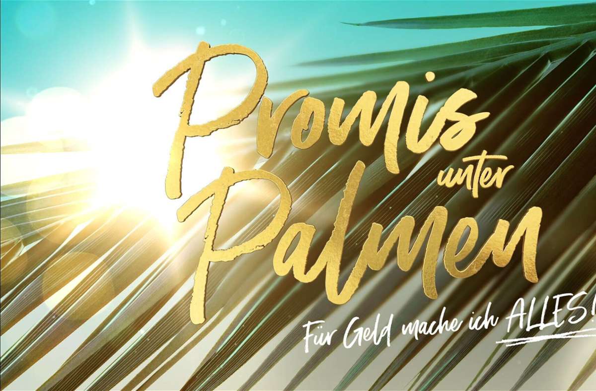 „Promis unter Palmen“  2021: Aus diesen Formaten kennt man die Kandidaten der zweiten Staffel