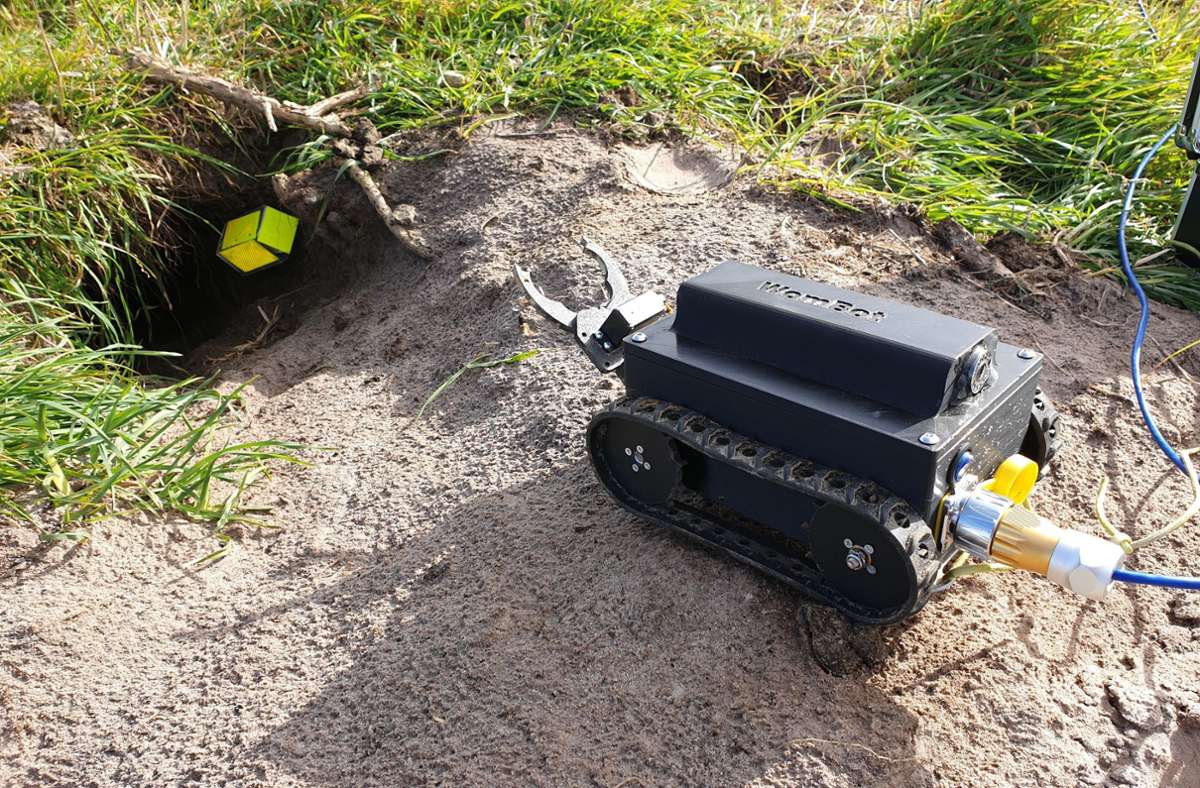 Australische Forscher haben einen Roboter entwickelt, mit dem das Innenleben der Wohnhöhlen von Wombats erforscht werden kann. Das Bild zeigt den WomBot während eines Feldtests in Tasmanien.