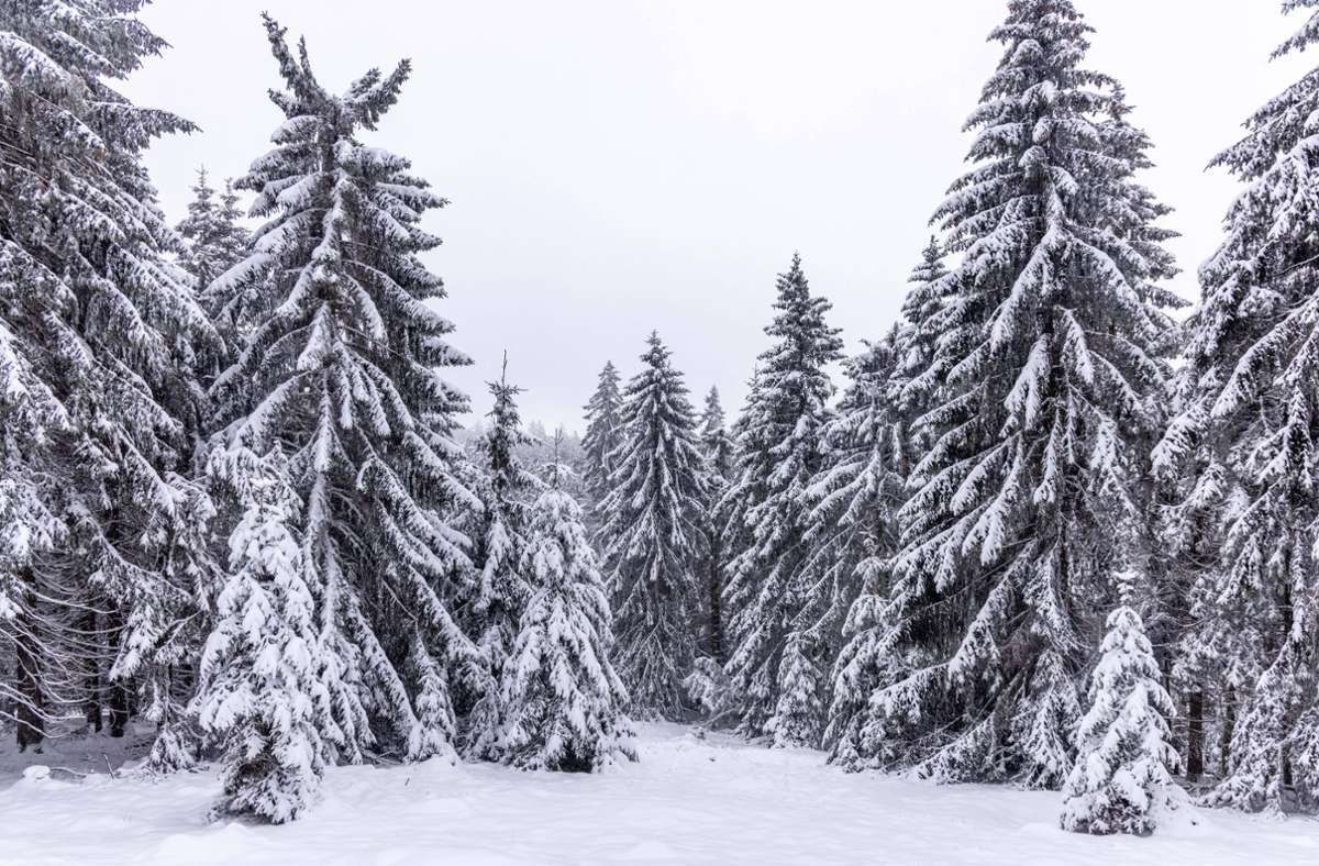 Winter in Deutschland: Das Wochenende bringt Schnee und klirrende Kälte