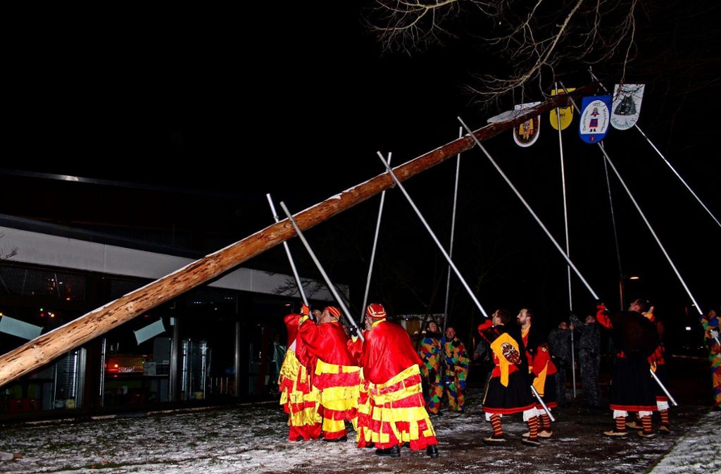 Auch in der Stadt steht ein Narrengewächs: Berkheimer Narren stemmen 23-Meter-Baum