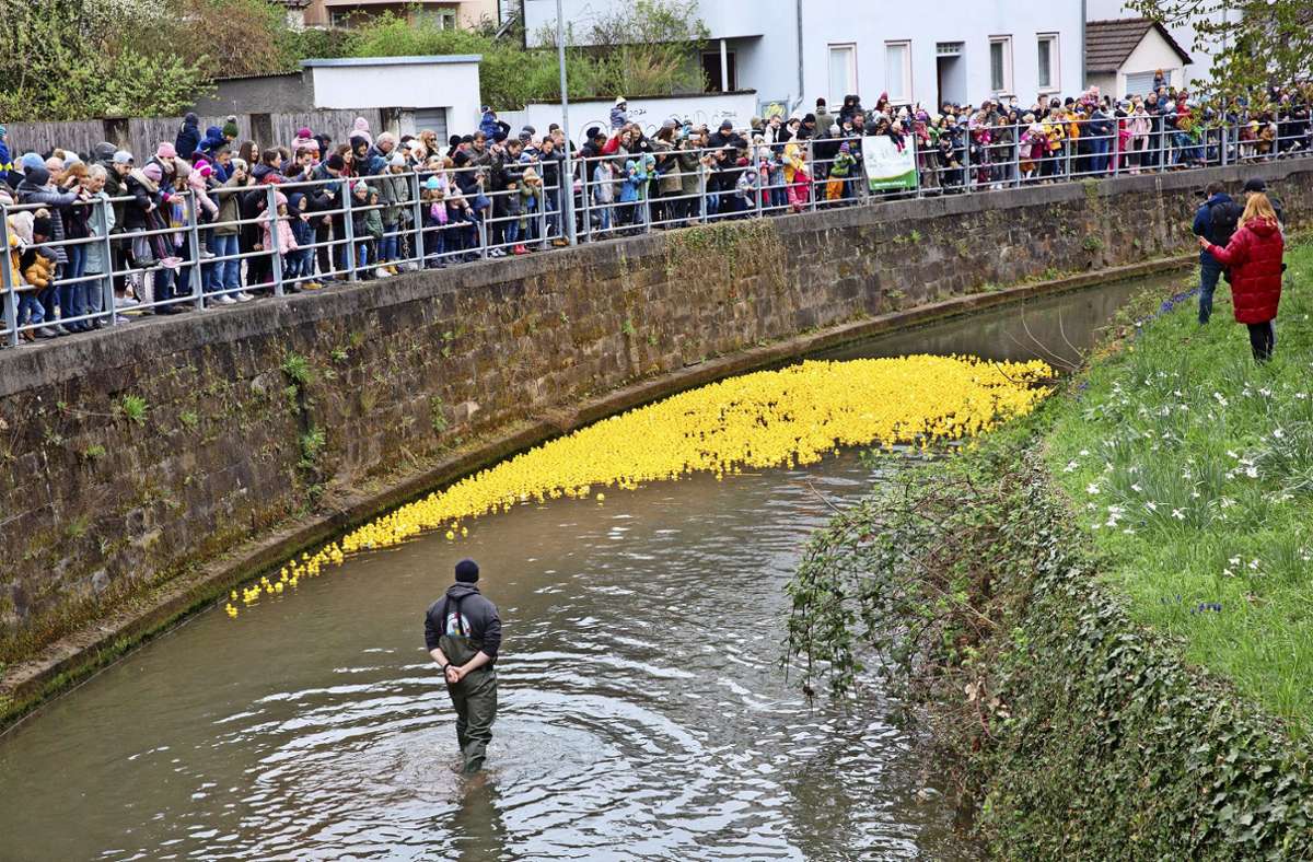 Nach zwei Jahren Coronapause gab es wieder ein Entenrennen mit kleinen gelben Plastikenten im Wehrneckarkanal