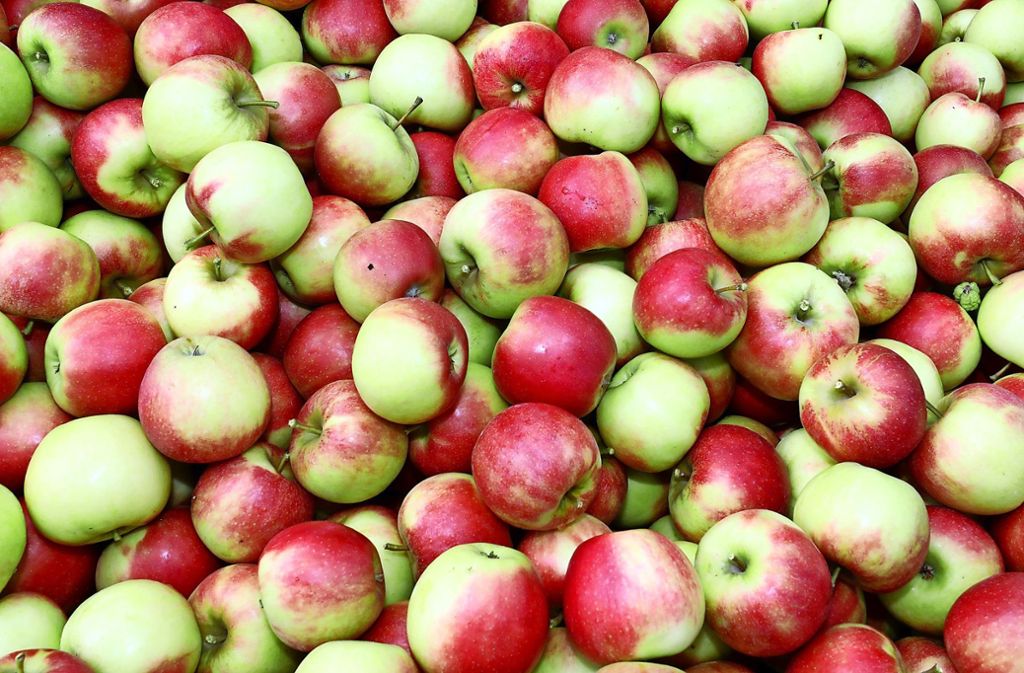 Ökologischer Fußabdruck: Umwelt: Apfel besser als Ananas?
