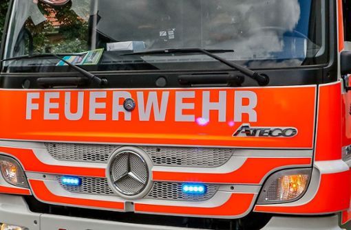 Die Feuerwehr war schnell vor Ort, konnte aber nicht verhindern, dass das Fahrzeug ausbrannte. Foto: KS-Images.de / Andreas Rometsch