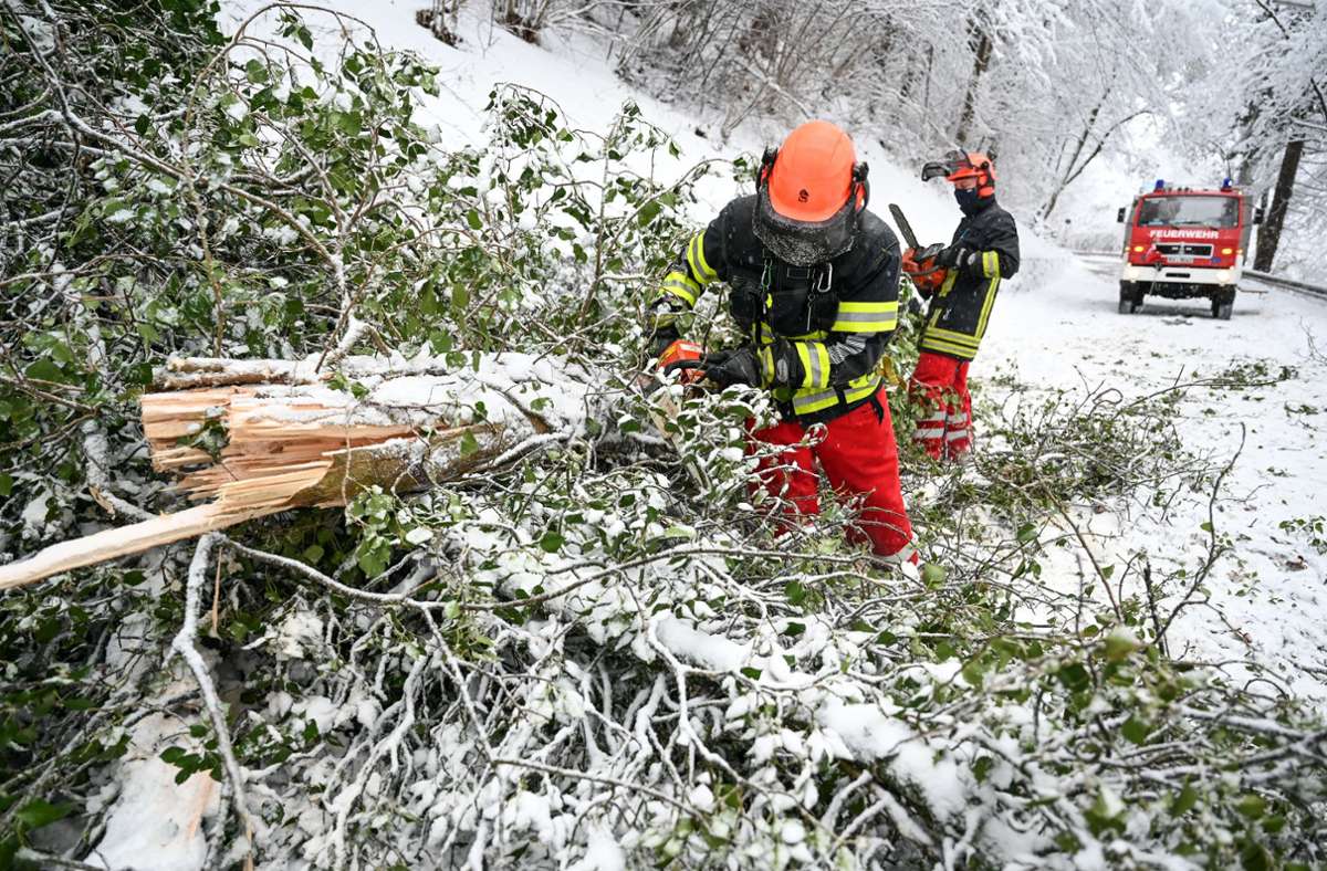 Winterwetter in Baden-Württemberg: Umgestürzte Bäume und festgefahrene Lkw –  Schneechaos hält an