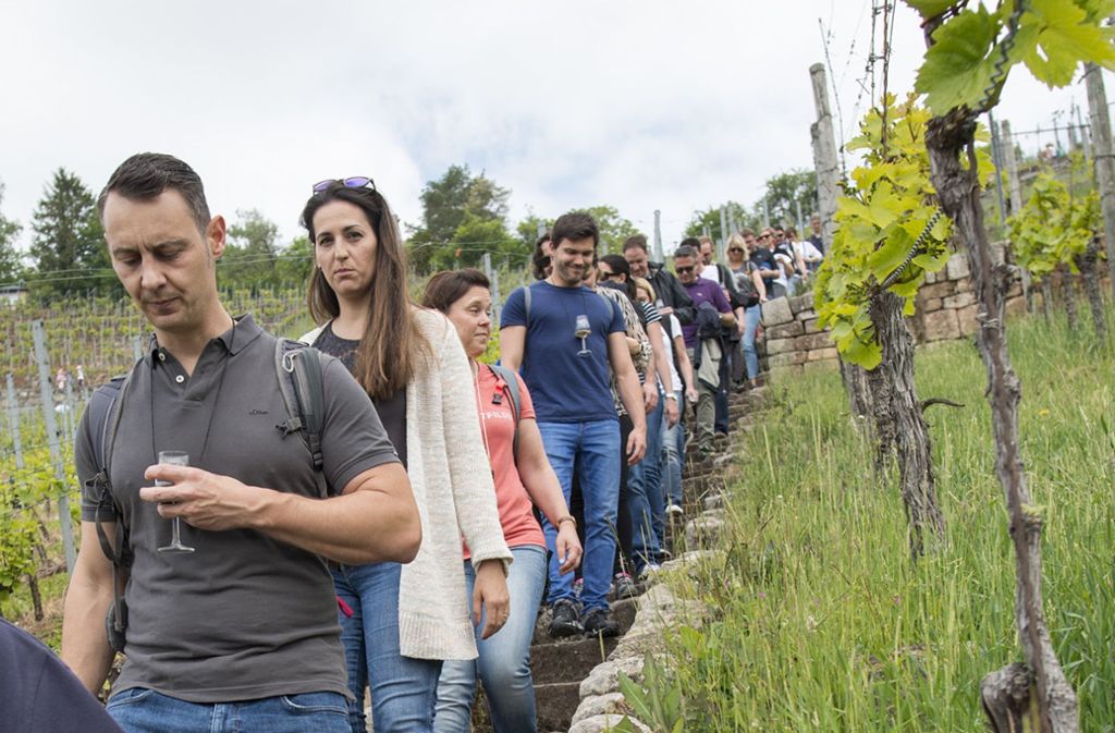 Großer Andrang beim Weinwandertag: Esslingen: Fröhliche Besucher beim Weinwandertag