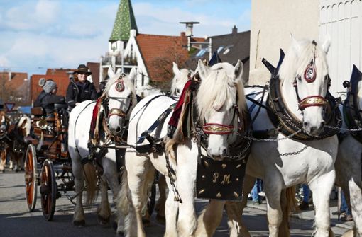 Im März 2020 konnte der Bernhäuser Pferdemarkt zuletzt stattfinden. 2021 und nun auch 2022 fällt das Event wegen Corona aus. Foto: Eileen/ Breuer