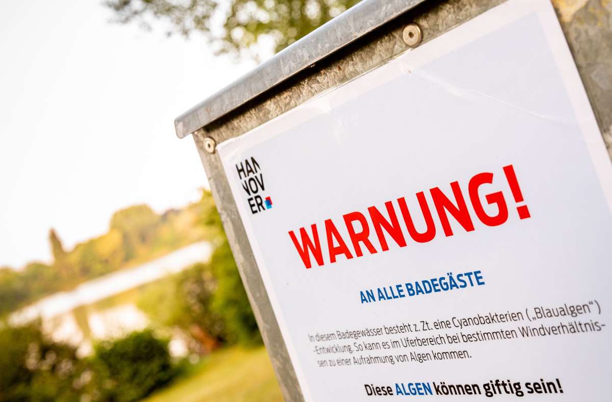 Ein Hinweisschild warnt Badegäste vor Blaualgen im Sieben-Meter-Teich in Hannover.