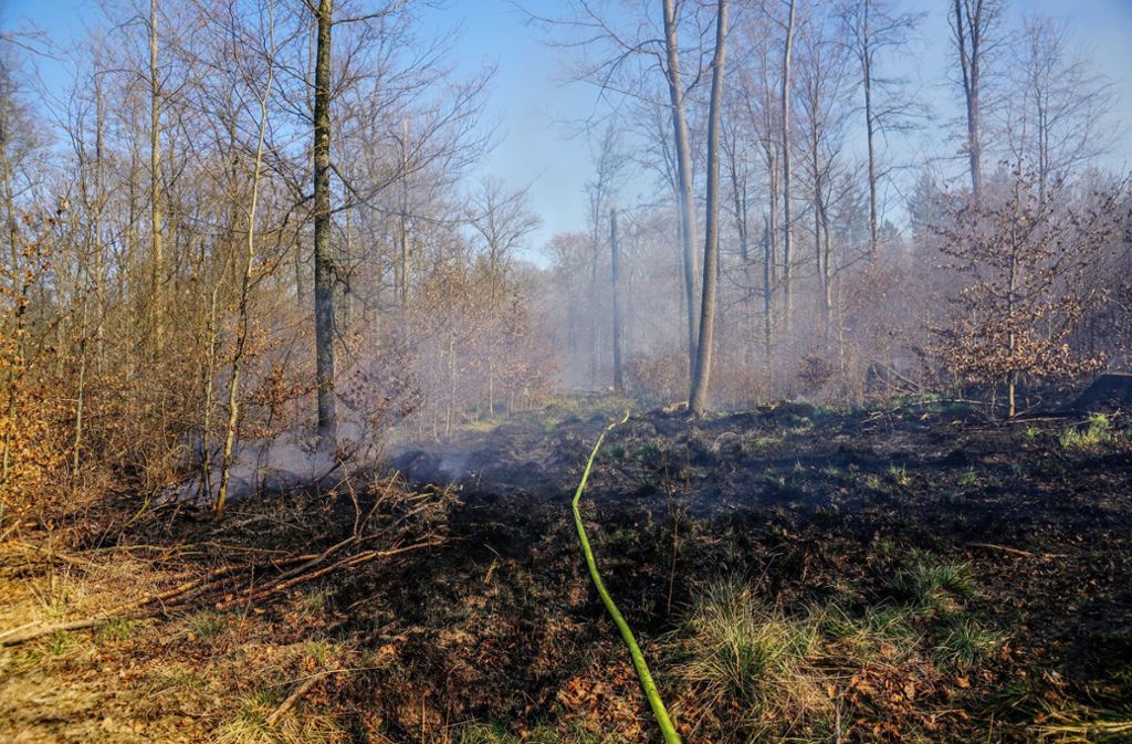 Eine glimmende Serviette setzte Waldboden auf einer Fläche von etwa einem dreiviertel Hektar in Brand.