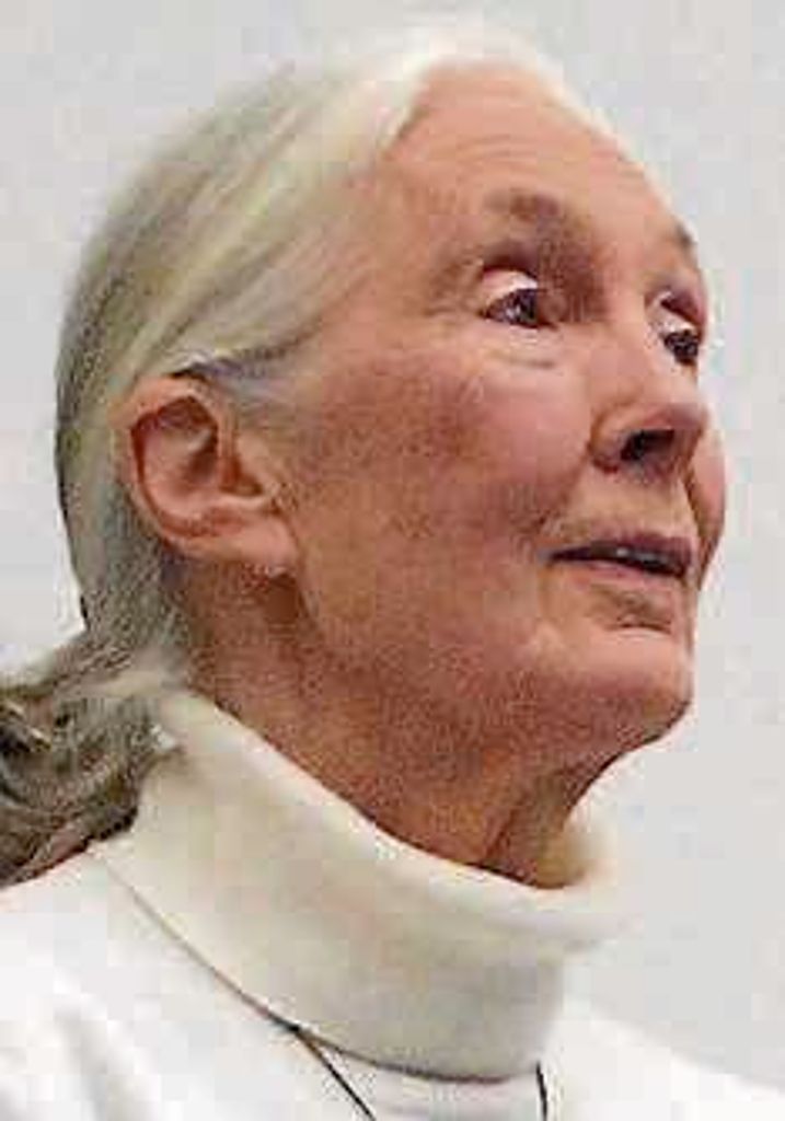 Jane Goodall fordert das Ende von Tierversuchen: „Sie fühlen Schmerz wie wir“ - Forschung nur Befriedigung wissenschaftlicher Neugier?: Die Schimpansenschützerin besucht Tübingen