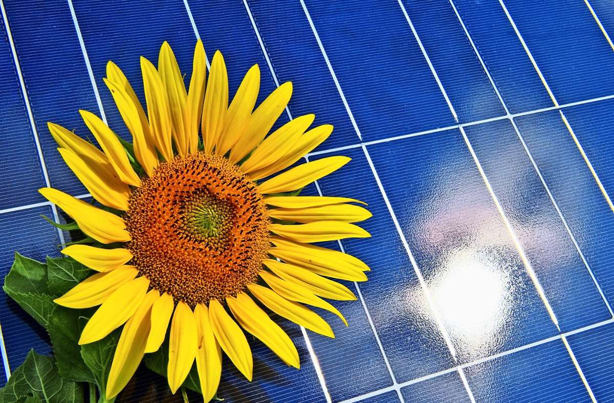 Fotovoltaik auf den Fildern: Zahl der Solaranlagen wächst unterschiedlich schnell